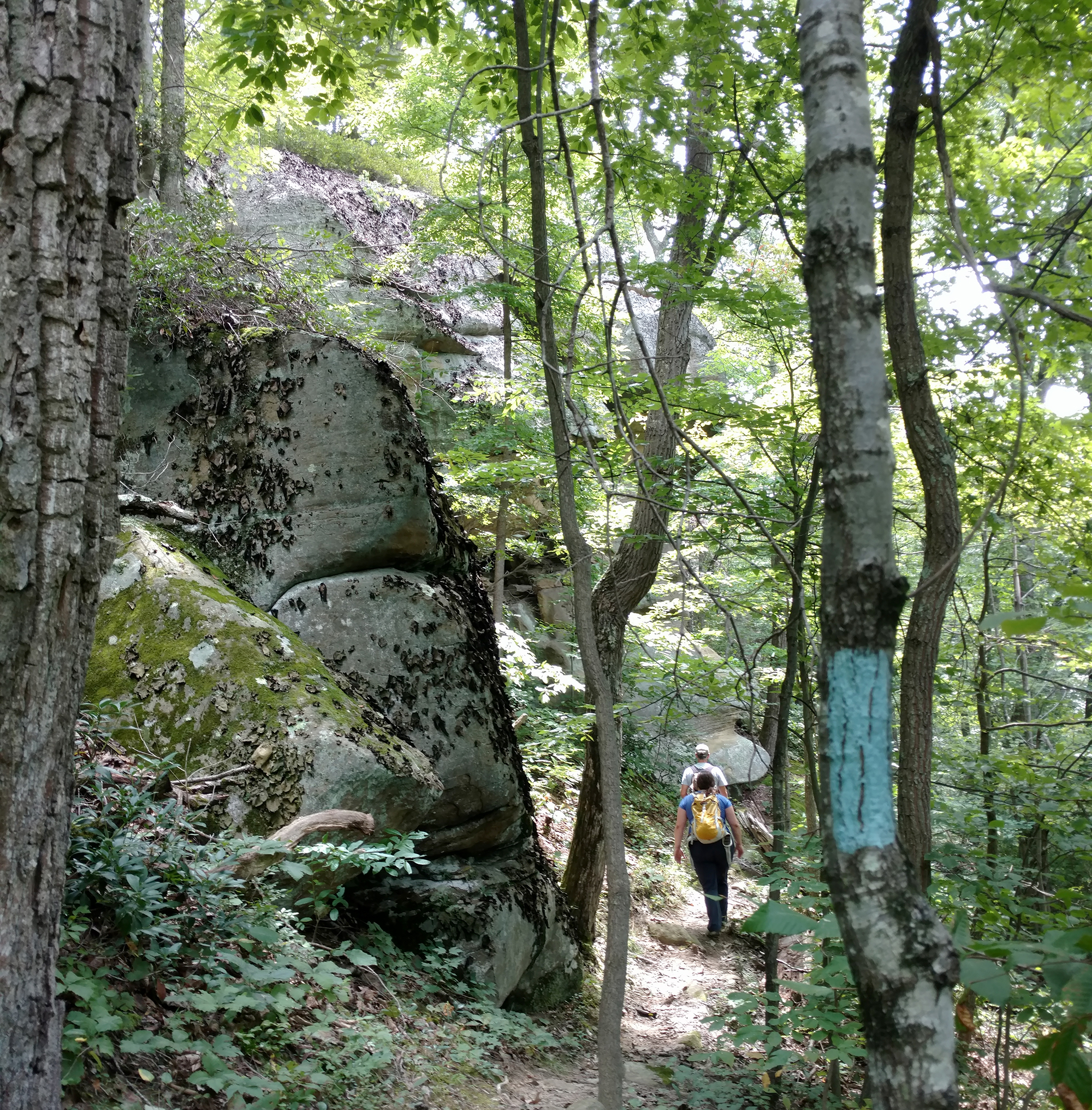 Buckeye Trail Association